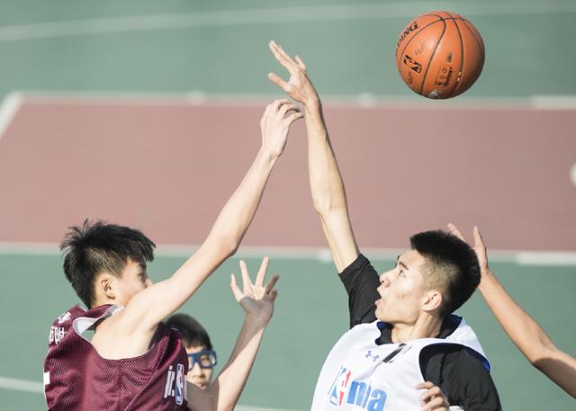 噼里啪啦国语在线观看第驰