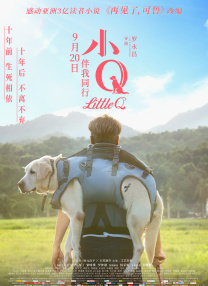 亚洲视屏在线