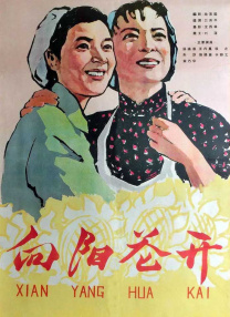 天天干天天插伊人网